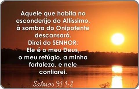 Salmo 91 (Copy)