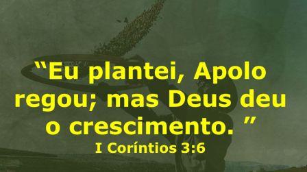 deus-da-o-crescimento