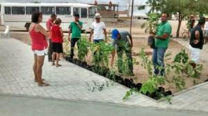 praca-sao-pedro-pinhoes