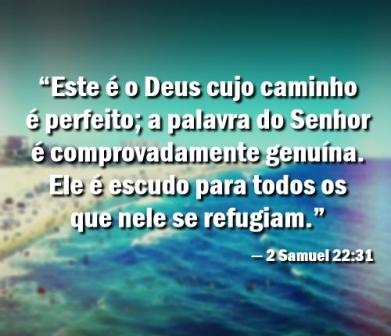 2-samuel-22-31