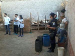 matadouro-clandestino