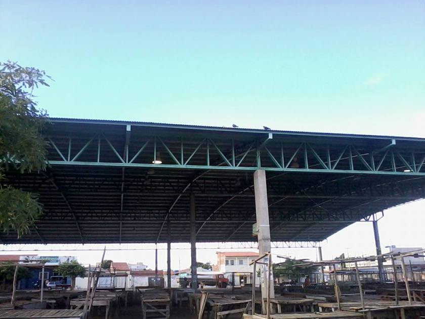 Pombos Feira Jardim Maravilha