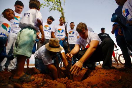 Arborização Petrolina