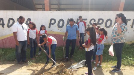 Plantio árvores AGuilhermino 7