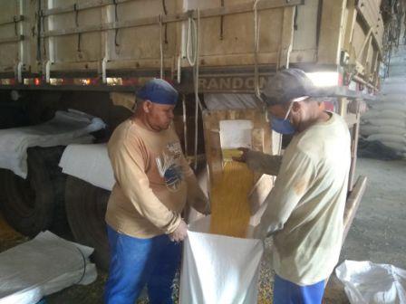 Ensacando Balcão do milho