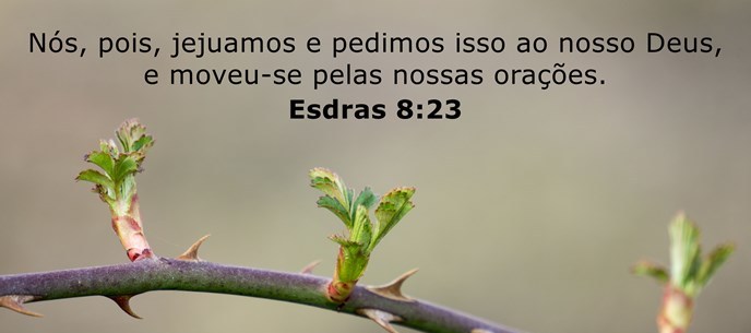 esdras-8-23