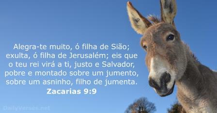 Zacarias 9,9