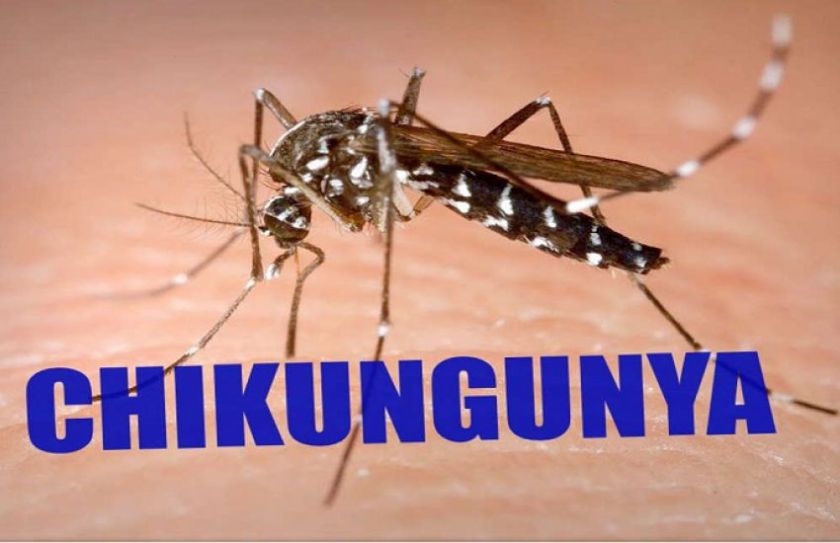 Chikungunya