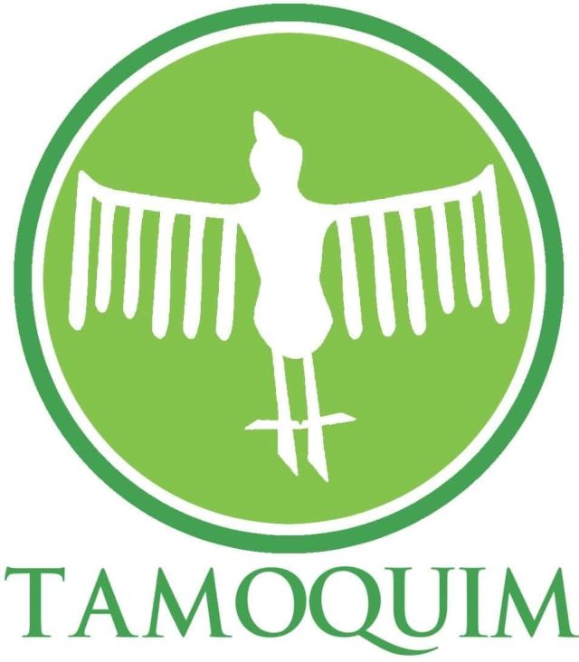 Tamoquim